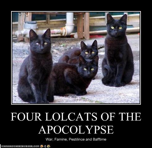 funny-pictures-four-lolcats-of-the-apocalypse.jpg