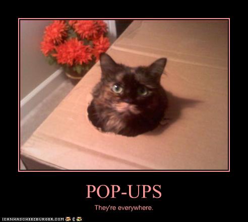 funny-pictures-cat-is-a-pop-up.jpg