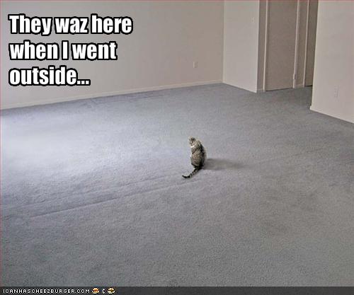 funny-pictures-cat-has-lost-his-family.jpg