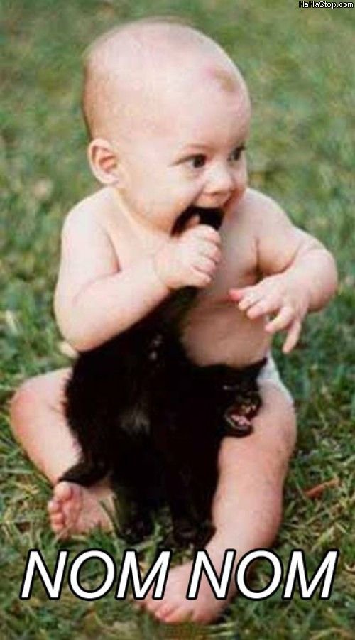 Kitten_Snack61.jpg